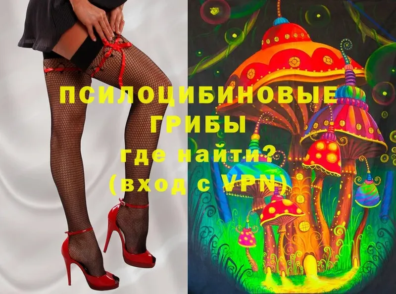 Псилоцибиновые грибы Magic Shrooms  сайты даркнета состав  Каргополь 